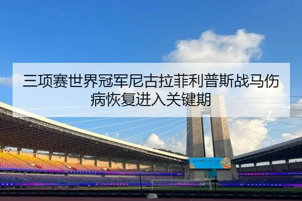 san-xiang-sai-shi-jie-guan-jun-ni-gu-la-fei-li-pu-si-zhan-ma-shang-bing-hui-fu-jin-ru-guan-jian-qi-2-955.jpg