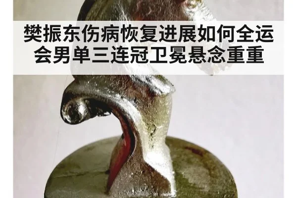 樊振东伤病恢复进展如何全运会男单三连冠卫冕悬念重重